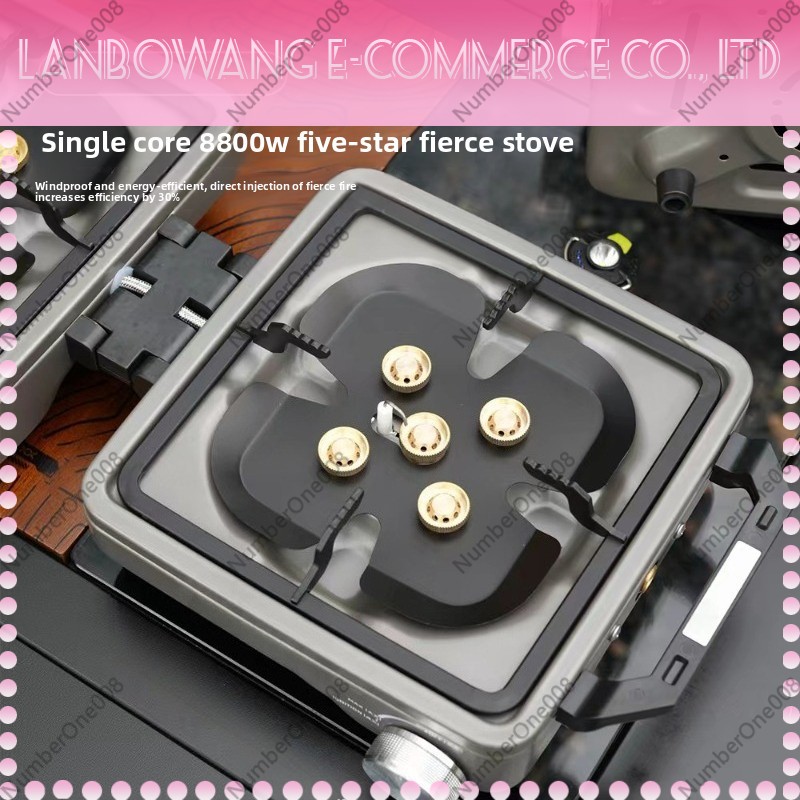 Outdoor Dual Burner High Power - Camping Cooking Hob review and price