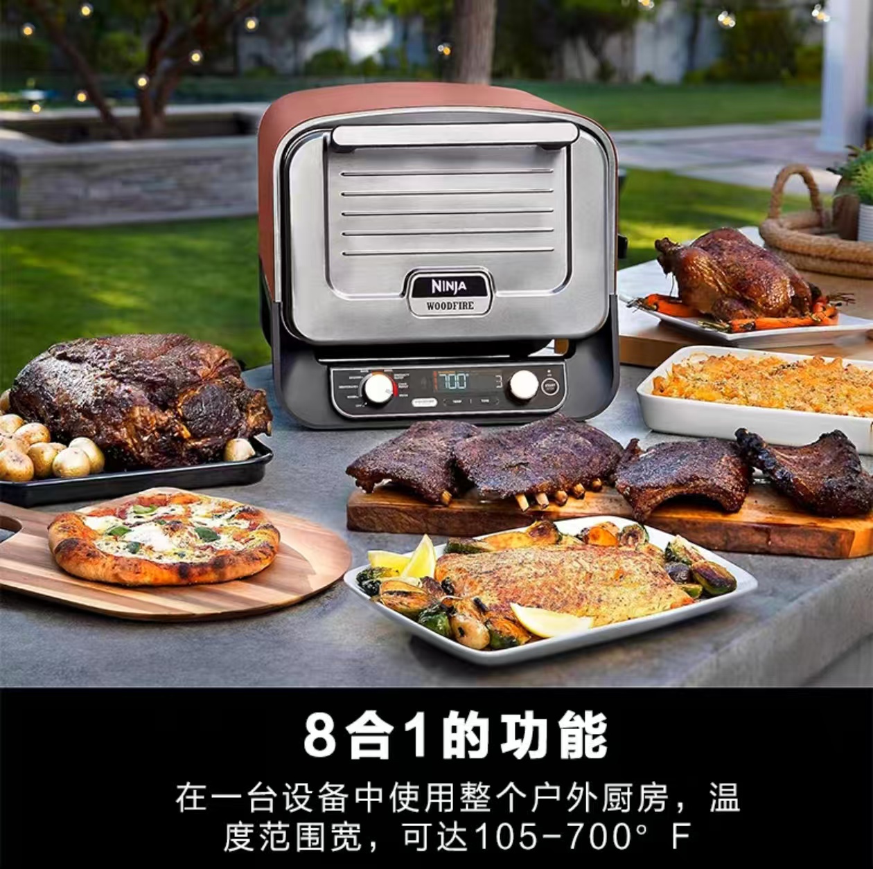 2026 Outdoor Pizza Oven for El - Camping Cooking Electric review and price