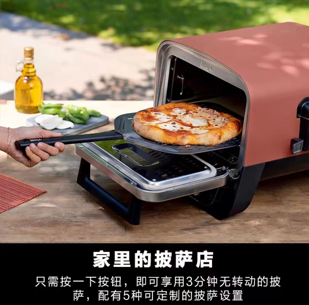 2026 Outdoor Pizza Oven for El - Camping Cooking Electric review and price