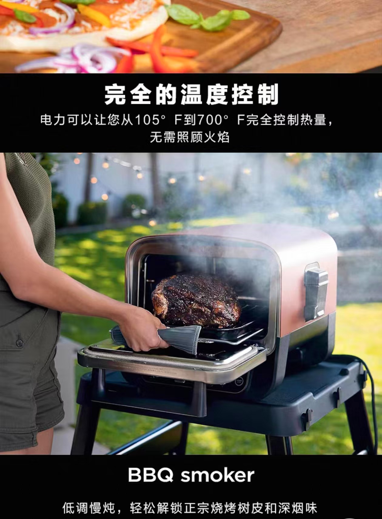 2026 Outdoor Pizza Oven for El - Camping Cooking Electric review and price