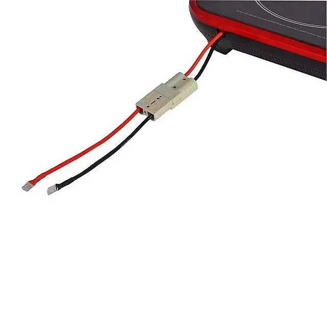 Touch Button Solar 24 Volt 48v - Camping Cooking Electric review and price
